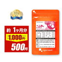 【期間限定SALE】ヘム鉄 & ビタミン（約1ヶ月分） 送料無料 葉酸 鉄 鉄分 サプリ ミネラル サプリメント 鉄分 補給 食…