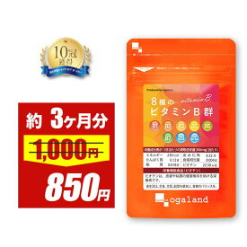 【限定セール中!!】8種のビタミンB群（約3ヶ月分）送料無料 サプリメント サプリ 葉酸 ビオチン ナイアシン パントテン酸 マルチトール オーガランド 健康 美容 女性 男性 ビタミン B1 B2 B6 B12 カルシウム 葉酸 _JB_JH