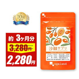 【限定セール中!!】【サプリで手軽に】サジー サプリ（約3ヶ月分）送料無料 沙棘 ダイエット 美容 サプリメント ビタミン 鉄分 元気 サジージュース より手軽 サプリメント ヘスペリジン ナイアシン アミノ酸 サジー サプリで手軽に ポイント消化 送料無料