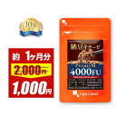 【期間限定50%OFF】ナットウキナーゼプレミアム 4000FU （約1ヶ月分） サプリ ビタミンK2 送料無料 納豆 新商品 納豆…