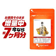 【7/13(月)あさ9:59まで増量中！】秋ウコン粒（約6ヶ月分＋約1ヶ月分）送料無料 元気 健康 サプリ サプリ…