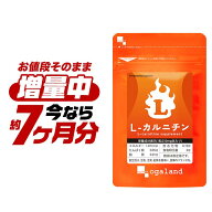 【7/13(月)あさ9:59まで増量中！】L-カルニチン（約6ヶ月分＋約1ヶ月分）送料無料 ダイエット サプリ サ…