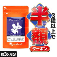 【クーポンで半額】 大容量 ブルーベリー サプリ (約3ヶ月分) 送料無料 サプリメント ビルベリー アント…