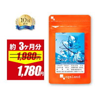 【期間限定10%OFF】マルチミネラル（約3ヶ月分）送料無料 ミネラル サプリ サプリメント ビタミン おすす…