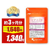 【24H限定18%OFF!!】ビタミンB カプセル（約3ヶ月分）送料無料 葉酸 ビタミンB12 ビタミンB2 ビタミンB1 …