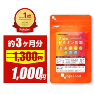 【23%OFFセール中】8種のビタミンB群（約3ヶ月分）ビタミンb ビタミンb1 ビタミンb群 サプリ 送料無料 サ…