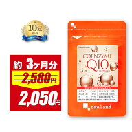 【期間限定20%OFF!!】【楽天1位獲得】 コエンザイムQ10 （約3ヶ月分） 美容 黒コショウ 抽出物 コエンザ…