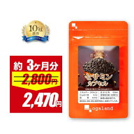 【期間限定11%OFF!!】【国内製造の胡麻油を使用】 セサミン カプセル（約3ヶ月分）美容 健康 エイジング…