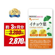 【期間限定10%OFF!!】【機能性表示食品】イチョウ葉（約3ヶ月分） イチョウ葉フラボノイド配糖体、イチョ…