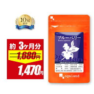 【期間限定12%OFF!!】ブルーベリー サプリ （約3ヶ月分） サプリメント ビルベリー アントシアニン ポリ…