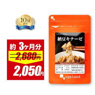 【期間限定23%OFF!!】納豆キナーゼ（約3ヶ月分）送料無料 サプリ 納豆菌 ダイエット サプリメント 大豆 …