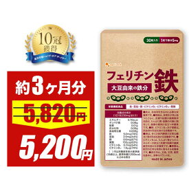 【10%OFFセール】フェリチン鉄 （約3ヶ月分） 鉄分 サプリ 栄養機能食品 鉄 貯蔵鉄 オーガランド 女性 亜鉛 銅 葉酸 ビタミンB6 ビタミンB12 非ヘム鉄 1粒に5mg 高吸収 有機 やさしい 大豆由来 ドリンクより手軽に サプリメント ポイント消費 送料無料