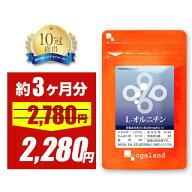 【17%OFFセール】L-オルニチン（約3ヶ月分） オルニチン サプリ 効果 効能 男性・女性にもおすすめ しじ…