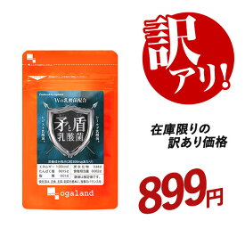 【訳あり・数量限定】矛と盾 乳酸菌 （約1ヶ月分） 乳酸菌 サプリ 1兆個 以上 2種類 レジスト乳酸菌(R) シールド乳酸菌(R) 善玉菌 オリゴ糖 水溶性 食物繊維 ビタミン びたみん 菌 活 健康 美容 ダイエット オーガランド サプリメント 送料無料※賞味期限：2027年3月末