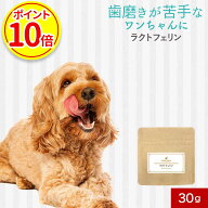【今だけポイント10倍】犬 歯磨き粉 歯磨き パウダー 犬 歯石 犬 口臭 犬 歯磨き おすすめ 犬 デンタルケ…