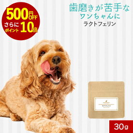 【クーポンで500円OFF！】犬用 デンタルケア ふりかけ 30g ラクトフェリン配合 歯磨き 歯磨き粉 歯石取り 口臭ケア 保存料無添加 マルチデンタルケア 食べる歯磨き パウダー シニア犬 老犬 小型犬 中型犬 大型犬 オーガランド もぐもぐ 送料無料 nkdy