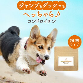 【50％ポイントバック】犬 関節 サプリメント コンドロイチン 30g サプリ ウェット おやつ サポート シニア 老犬 高齢 体調管理 骨 パウダー 粉末 ドッグフード ふりかけ ごはん トッピング サプリ 猫 スープ ペット ケア 小型犬 中型犬 大型犬 送料無料 nkdy