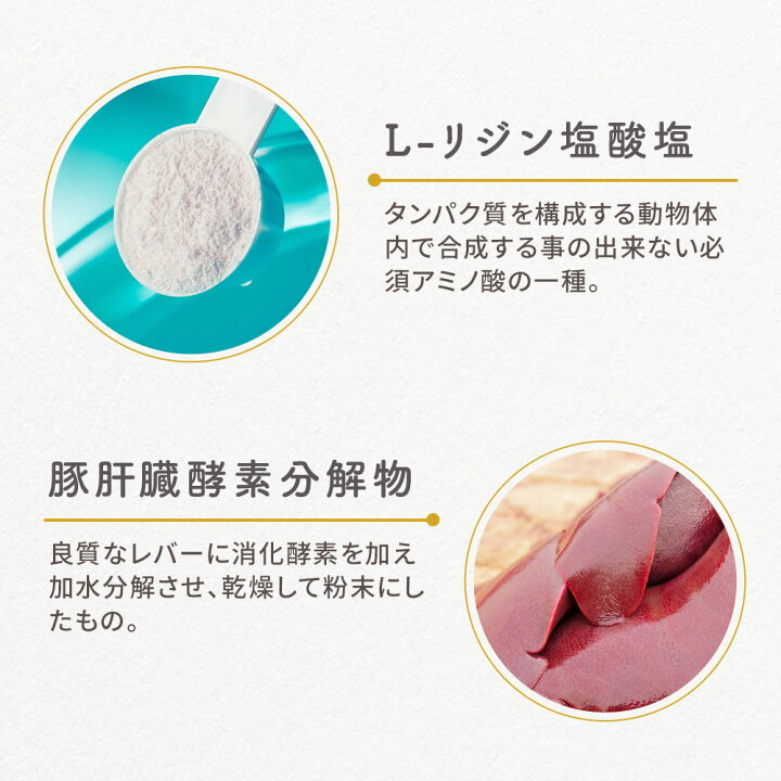 楽天市場】【LINE登録で25％OFFクーポン】犬 肝臓 フード へぱぐっど 