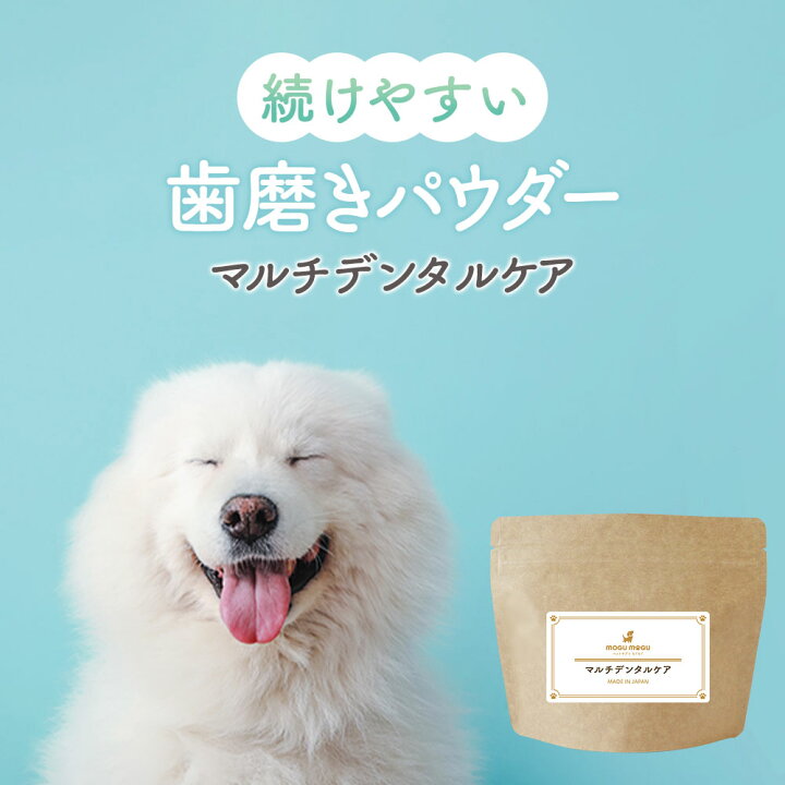 楽天市場 犬 歯磨き粉 デンタルケア 100g 歯垢 歯石 口臭予防 匂い 口腔ケア フード サプリメント ニオイ 乳酸菌 オリゴ糖 シニア犬 犬用 ペット 送料無料 キシリトール プロポリス パパイヤ キシリトール ナタマメ 茶カテキン ペット用品 ペットサプリもぐもぐ 楽天市場 犬 歯磨き粉 デンタルケア 100g 歯垢 歯石 口臭予防 匂い 口腔ケア フード サプリメント ニオイ 乳酸菌 オリゴ糖 シニア犬 犬用 ペット 送料無料 キシリトール プロポリス パパイヤ キシリトール ナタマメ 茶カテキン ペット用品 ペットサプリもぐもぐ