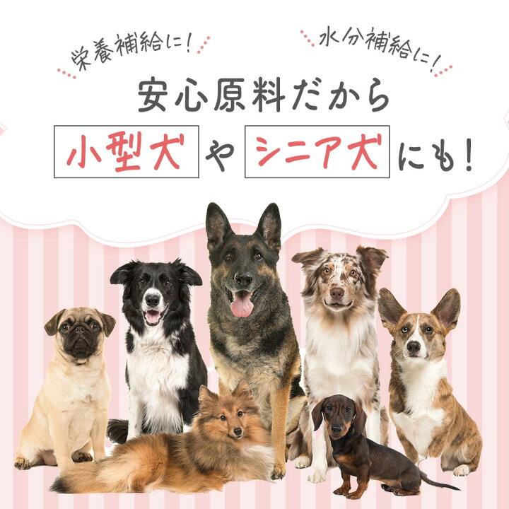 楽天市場 ミルク 犬 シニア 子犬 ヤギミルク パウダー 80g 山羊 粉末 無添加 オーガニック 低カロリー 低脂質 無着色 オランダ産 食いつき ペット サプリ シニア犬 お試し 送料無料 やぎみるく 山羊 ミルク ペットサプリもぐもぐ