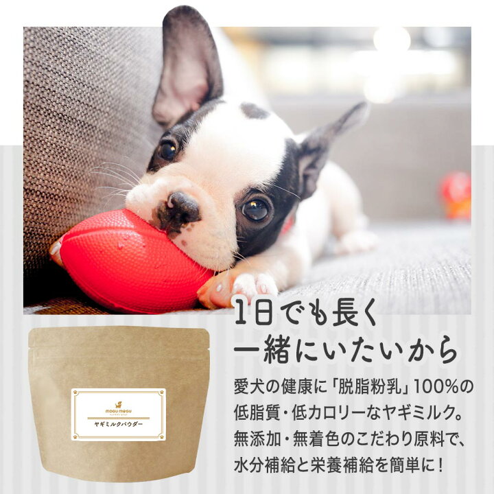 楽天市場 ミルク 犬 シニア 子犬 ヤギミルク パウダー 80g 山羊 粉末 無添加 オーガニック 低カロリー 低脂質 無着色 オランダ産 食いつき ペット サプリ シニア犬 お試し 送料無料 やぎみるく 山羊 ミルク ペットサプリもぐもぐ