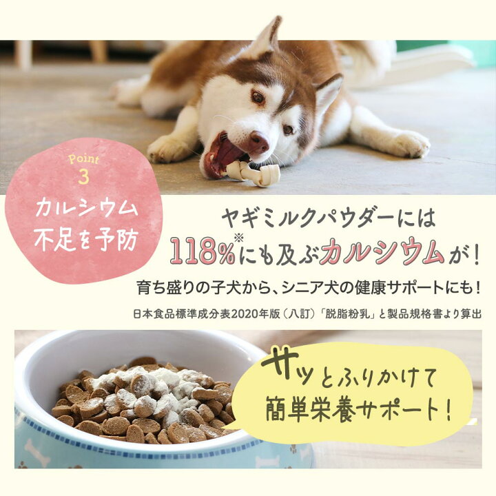 楽天市場 ミルク 犬 シニア 子犬 ヤギミルク パウダー 80g 山羊 粉末 無添加 オーガニック 低カロリー 低脂質 無着色 オランダ産 食いつき ペット サプリ シニア犬 お試し 送料無料 やぎみるく 山羊 ミルク ペットサプリもぐもぐ