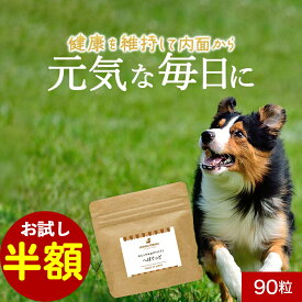 【お試し半額SALE】犬 肝臓 フード へぱぐっど 90粒 おやつ 国産 サポート サプリ シニア 老犬 高齢 体調管理 ドッグフード ふりかけ ごはん トッピング 小型犬 中型犬 大型犬 犬用 送料無料 ヒューマングレード サプリメント 小粒 レビュー特典 nkdy