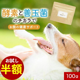 【お試し半額SALE】犬 酵素 サプリ 発酵野菜＆青パパイヤ 100g フード ウェット おやつ シニア 老犬 高齢 体調管理 パウダー 粉末 ドッグフード ふりかけ ごはん トッピング ペット 小型犬 中型犬 大型犬 ヒューマングレード 1000円ポッキリ 送料無料 レビュー特典 nkdy