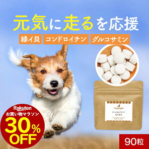 y30%OFFZ[Iz΃CL Tvg  ĂĂ 90 ~hCKC  ֐  Tvg  T|[g VjA V  ̒Ǘ hbOt[h ͂ gbsO ybg ^ 