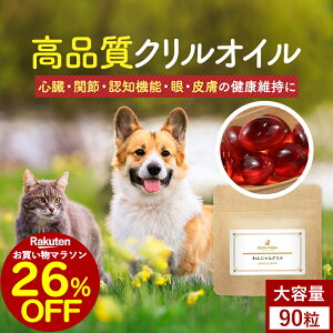 y26%OFFZ[Iz NIC Tv ɂN 90ieʁjIK3 IC L IK3b_ Tvg  T|[g VjA V  hbOt[h ͂ gbs