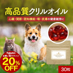 y20%OFFZ[Iz NIC Tv ɂN 30 IK3 IC L IK3b_ Tvg  T|[g VjA V  hbOt[h ͂ gbsO ybg 