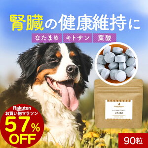 y57OFFZ[Iz t gbsO ͂΂ 90 Tvg Tv  T|[g VjA V   hbOt[h ͂ gbsO ybg ^ ^ ^ q[}O