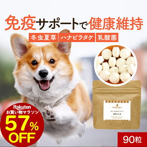 y57OFFZ[Iz _ Tv ςӂ 90 Ɖu Tvg  T|[g VjA V   hbOt[h ͂ gbsO ybg ^ ^ ^ q[}O