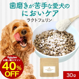 【40％OFFセール！】犬 歯磨き 歯磨き粉 歯石取り パウダー ラクトフェリン 30g デンタルケア ふりかけ サプリ フード おやつ サポート シニア 老犬 高齢 粉末 ドッグフード ごはん トッピング ペット ケア 小型犬 中型犬 大型犬 送料無料 nkdy