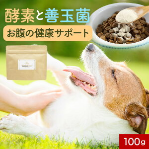 【LINE登録で25%OFFクーポン】犬 酵素 サプリ 発酵野菜&青パパイヤ 100g フード ウェット おやつ シニア 老犬 高齢 パウダー 粉末 ドッグフード ふりかけ ごはん トッピング ペット 小型犬 中