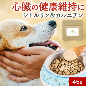 y39OFFN[|zzIz S Tvg Vg  Jj` 45g Tv t[h EFbg pE_[   ̒Ǘ hbOt[h ӂ肩 ͂ gbsO ybg P