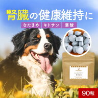 犬 腎臓 トッピング はればれ 90粒 サプリメント サプリ おやつ サポート シニア 老犬 高齢 骨 ドッグフ…