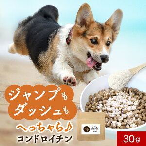 y39OFFN[|zzIz ֐ Tvg RhC` 30g Tv EFbg  T|[g VjA V   pE_[  hbOt[h ӂ肩 ͂ gbsO Tv 