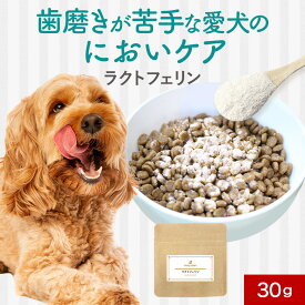 【LINE登録で25％OFFクーポン】犬 歯磨き 歯磨き粉 歯石取り パウダー ラクトフェリン 30g デンタルケア ふりかけ サプリ フード おやつ サポート シニア 老犬 高齢 粉末 ドッグフード ごはん トッピング ペット ケア 小型犬 中型犬 大型犬 送料無料 nkdy