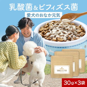 【LINE登録で25%OFFクーポン】犬 乳酸菌 サプリ 乳酸菌 & ビフィズス菌 まとめ買い 90g(30g×3袋) 善玉菌 小腸 大腸 ウェット おやつ フード 国産 サポート サプリ シニア 老犬 高齢 体調管理 パ