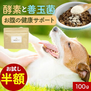 yzZ[Iz yf Tv y؁ppC 100g t[h EFbg  VjA V  pE_[  hbOt[h ӂ肩 ͂ gbsO ybg ^ ^ 