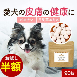 yzZ[Iz 畆 Tvg Ђӂ 90 t[h  Y T|[g Tv VjA V  ̒Ǘ hbOt[h ӂ肩 ͂ gbsO ^ ^ ^