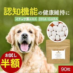 yzZ[Iz VjA Tv  90 t[h  T|[g Tvg V  ̒Ǘ hbOt[h ͂ gbsO X[v ybg PA ^ ^ ^