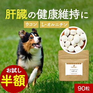 yzZ[Iz ̑ t[h ւς 90  Y T|[g Tv VjA V  ̒Ǘ hbOt[h ӂ肩 ͂ gbsO ^ ^ ^ p 