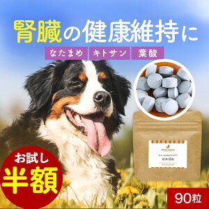 yzZ[Iz t gbsO ͂΂ 90 Tvg Tv  T|[g VjA V   hbOt[h ͂ gbsO ybg ^ ^ ^ q[}