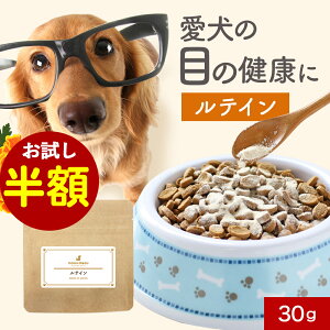 yzZ[Iz  Tvg eC 30g ܂₯ Tv t[h EFbg  T|[g VjA V  pE_[  hbOt[h ӂ肩 ͂ gbsO X[v 