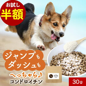 yzZ[Iz ֐ Tvg RhC` 30g Tv EFbg  T|[g VjA V   pE_[  hbOt[h ӂ肩 ͂ gbsO Tv X