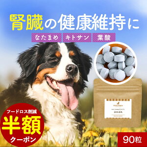 yzN[|Iz t gbsO ͂΂ 90 Tvg Tv  T|[g VjA V   hbOt[h ͂ gbsO ybg ^ ^ ^ q[