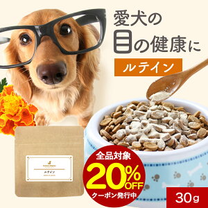 ySiΏ20OFFN[|Iz  Tvg eC 30g ܂₯ Tv t[h EFbg  T|[g VjA V  pE_[  hbOt[h ӂ肩 ͂ gbsO X