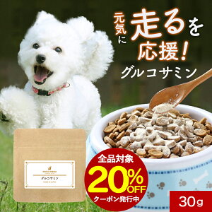 ySiΏ20OFFN[|Iz ֐ Tvg ORT~ 30g Tv EFbg  T|[g VjA V   pE_[  hbOt[h ӂ肩 ͂ gbsO Tv 